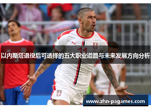 以内斯塔退役后可选择的五大职业道路与未来发展方向分析