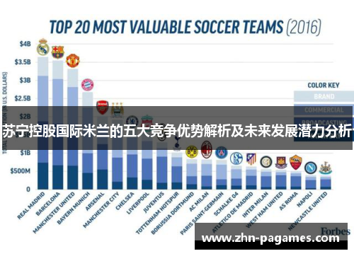 苏宁控股国际米兰的五大竞争优势解析及未来发展潜力分析