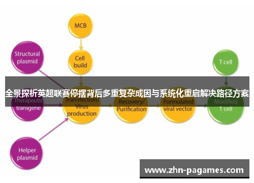 全景探析英超联赛停摆背后多重复杂成因与系统化重启解决路径方案