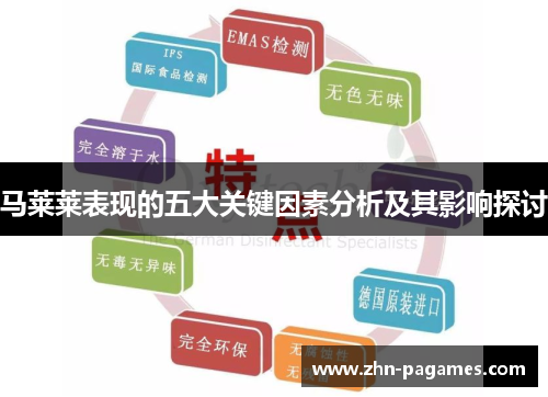 马莱莱表现的五大关键因素分析及其影响探讨 马莱莱表现的五大关键因素分析及其影响探讨