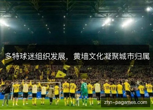 多特球迷组织发展,黄墙文化凝聚城市归属 多特球迷组织发展,黄墙文化凝聚城市归属